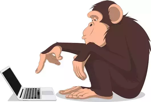 monkey_computer