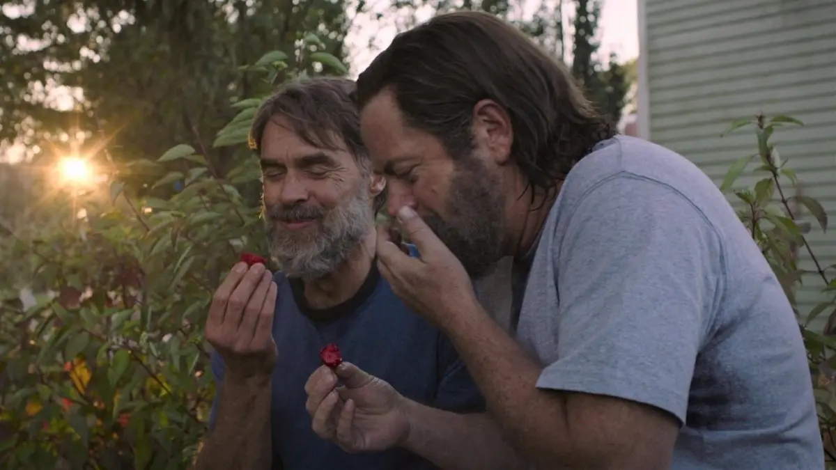 The Last of Us HBO potrebbe avere 5 stagioni si è la scena delle fragole