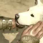 Guida BALDUR’S GATE 3 come ADOTTARE un CANE