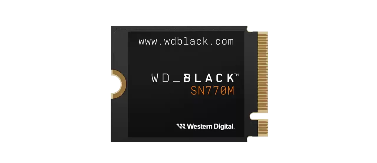 Intervista a Western Digital Gamescom 2023 Il WD Black SN770M Nvme
