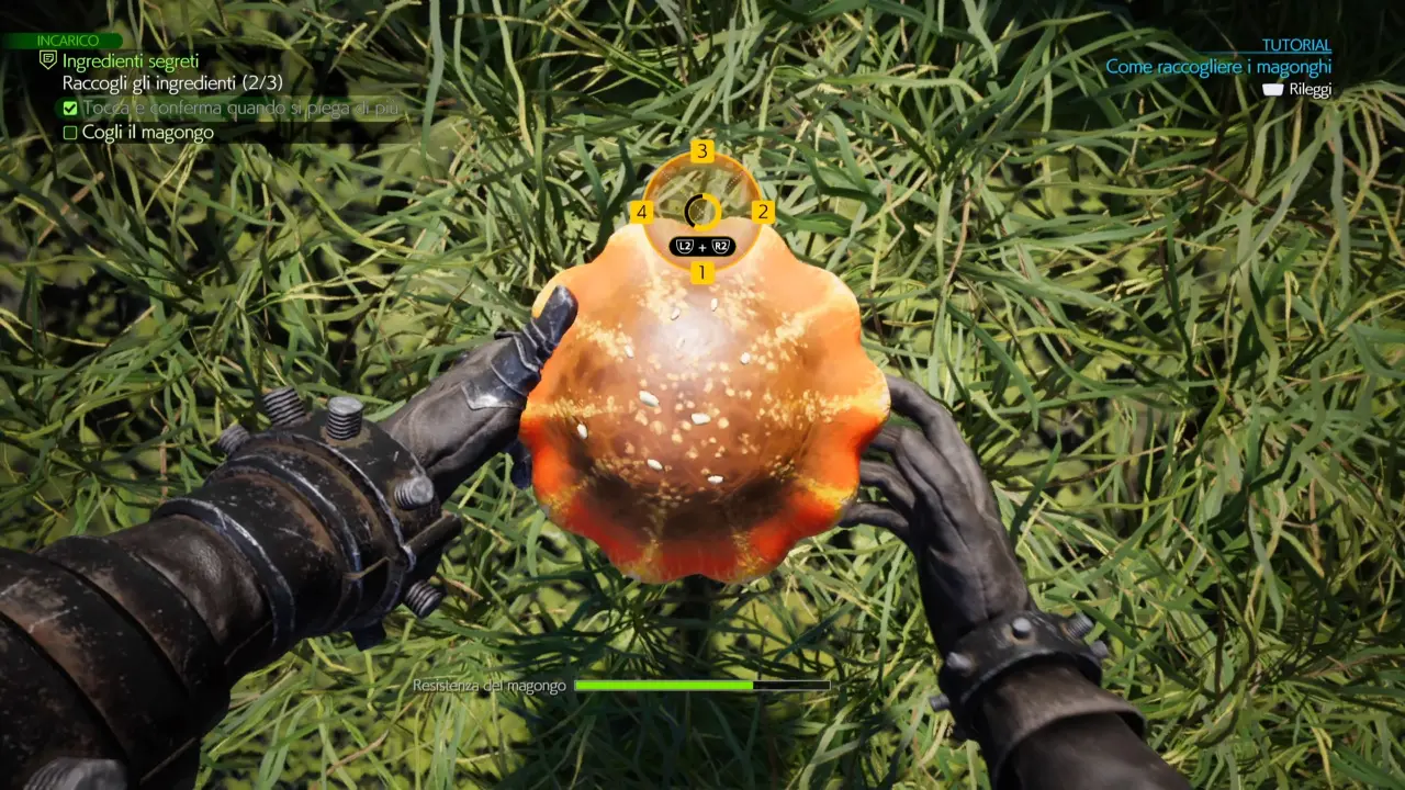 Final Fantasy VII Rebirth come completare Ingredienti segreti