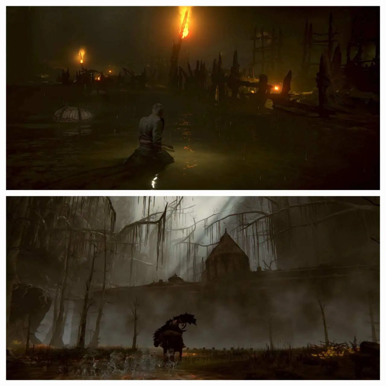 differenza tra forest swamp di demon's souls e di (forse) elden ring shadow of the erdtree