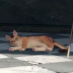 Xenoblade Chronicles X Definitive Edition – Come ottenere gli animali domestici
