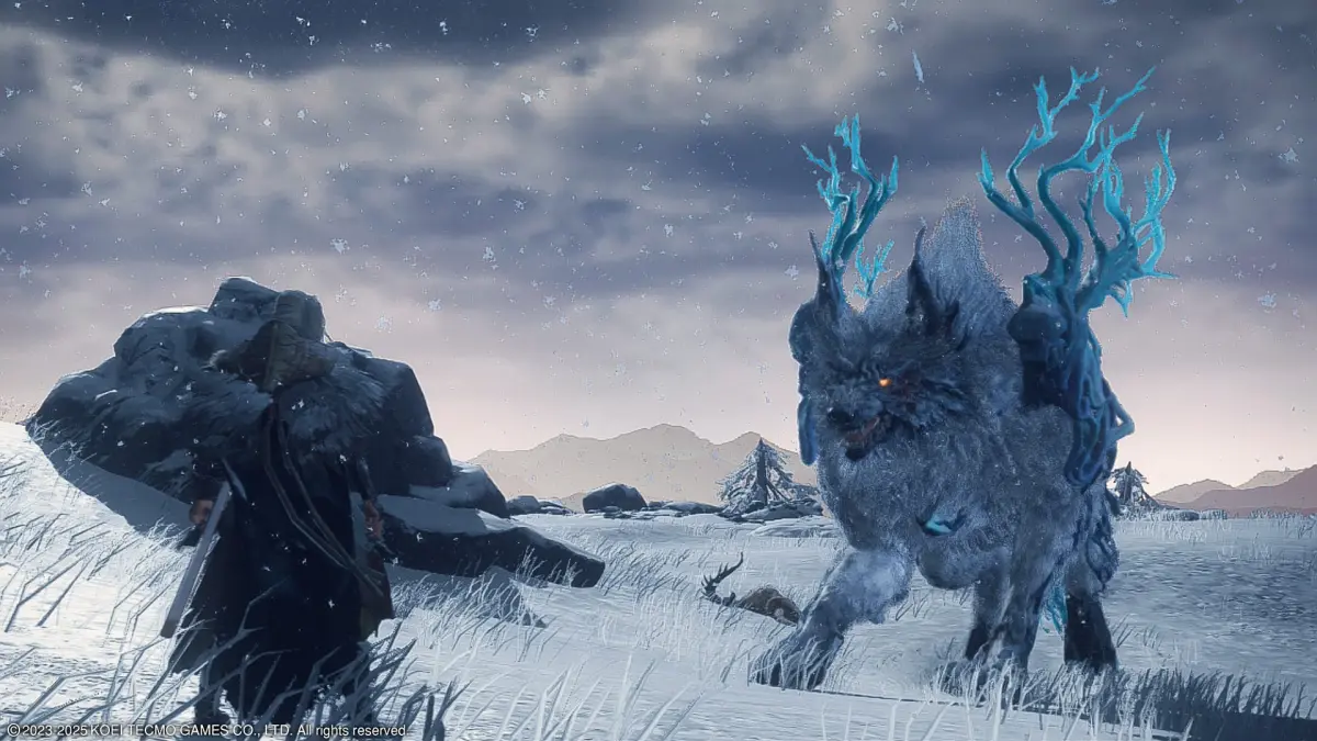 wild hearts s recensione kemono