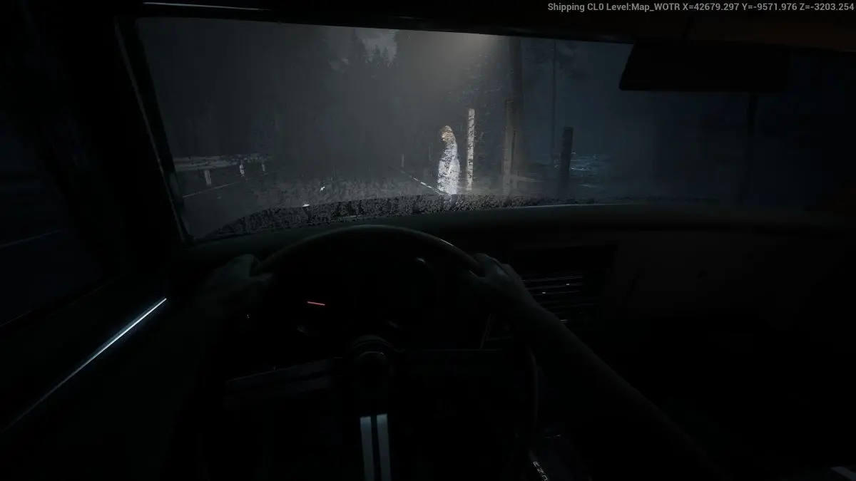 aila anteprima - woman on the road