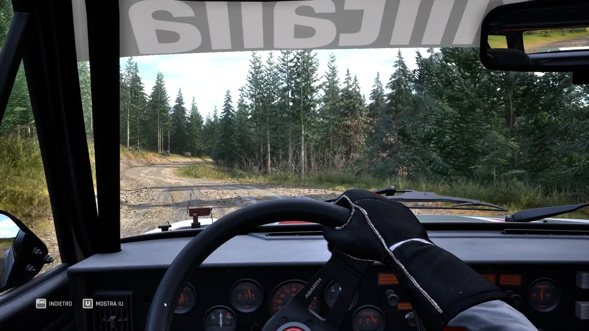 Assetto Corsa Rally Provato