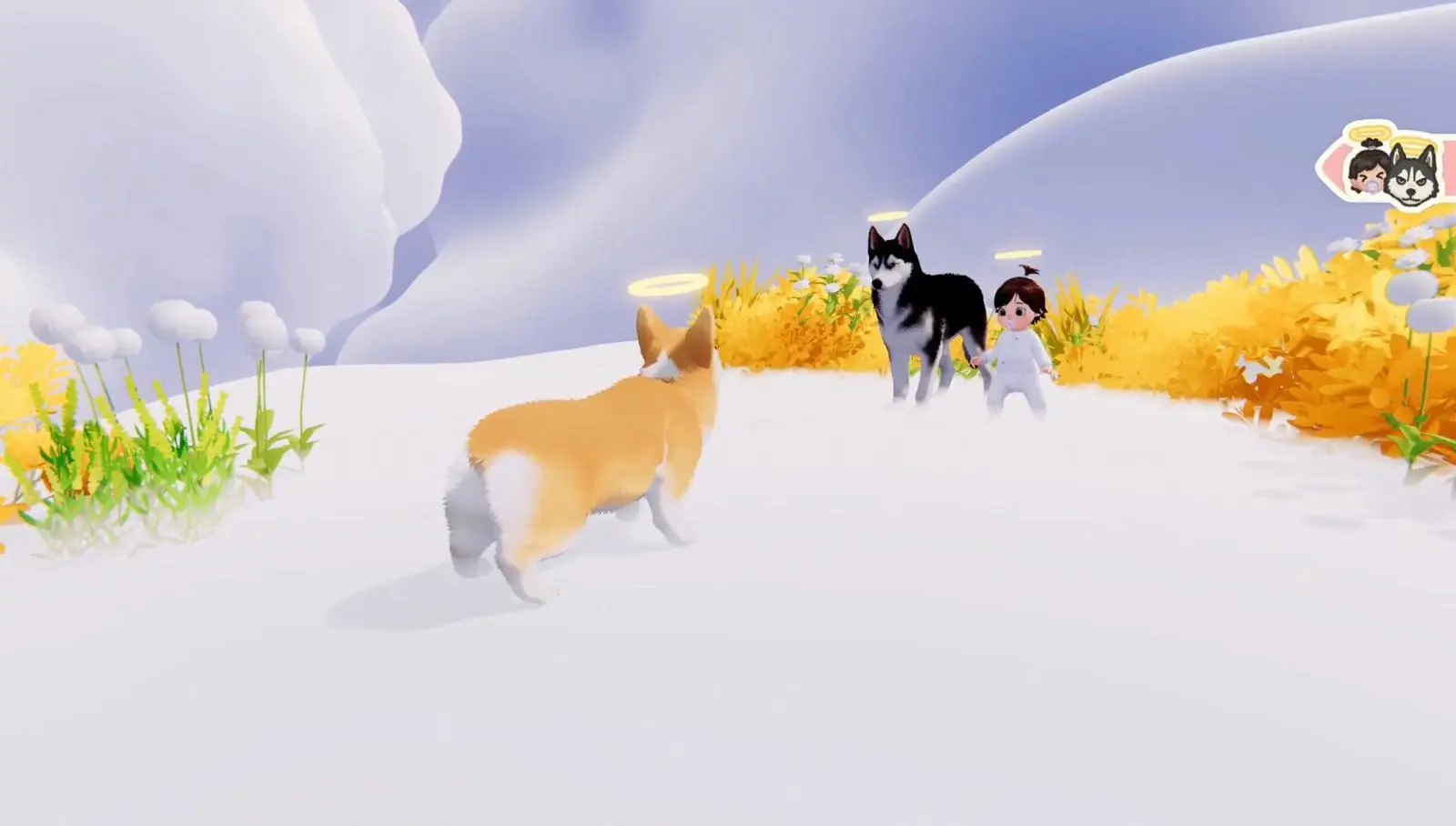 Un cucciolo corre su una distesa bianca verso un paesaggio fatto di nuvole e colline dorate, con la scritta “Paradiso dei cani” sospesa nel cielo.