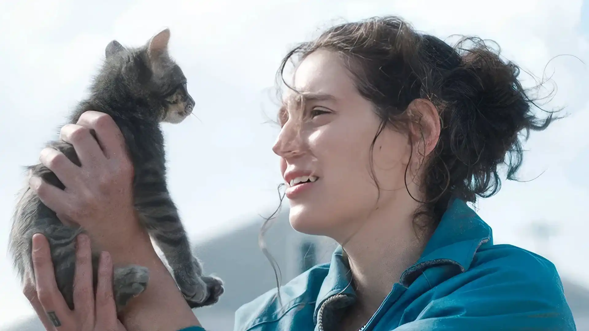 sorry, baby - gattino