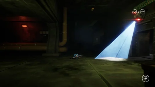 Darwin's Paradox Demo telecamera