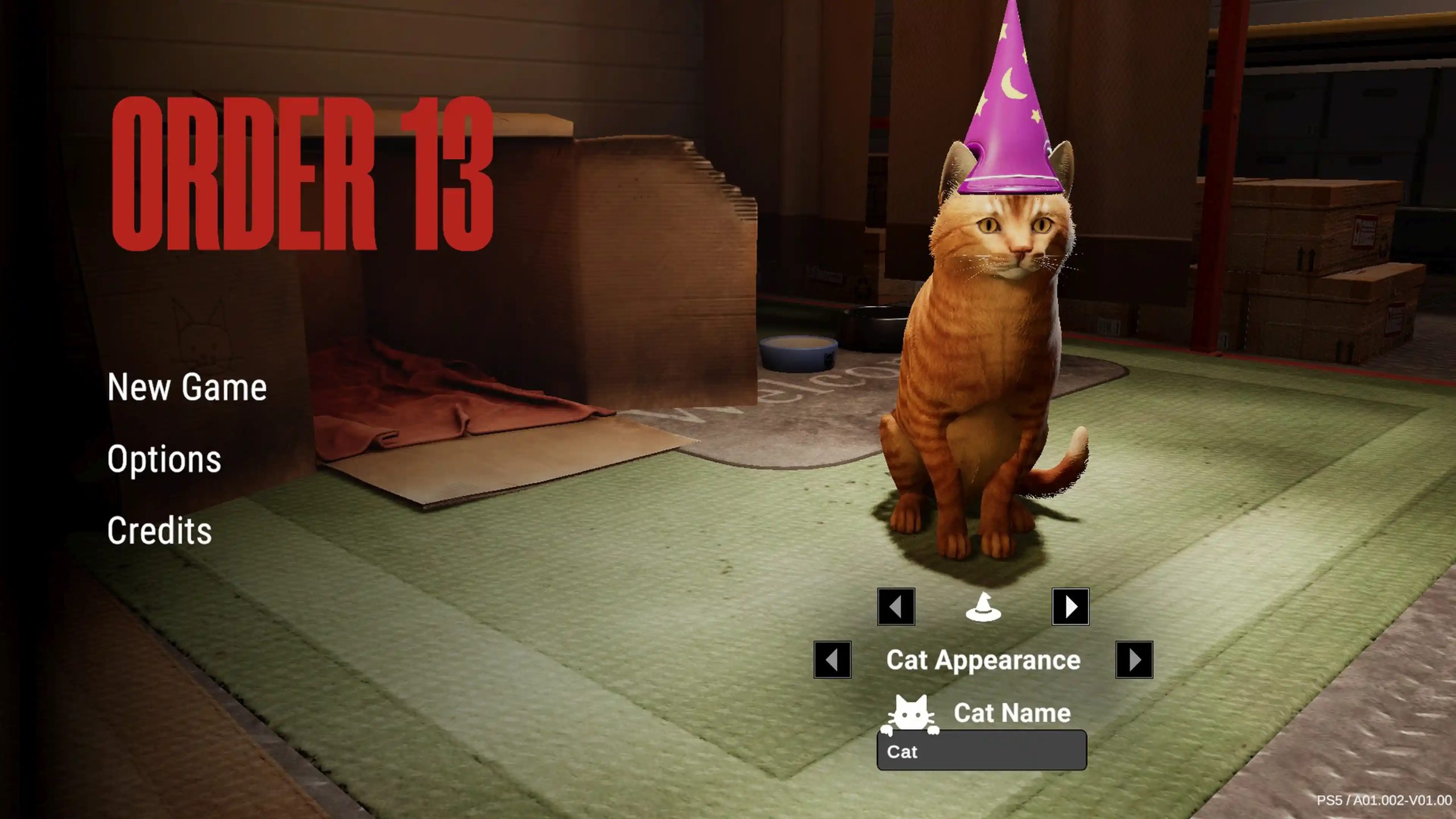 ORDER 13 Recensione gatto