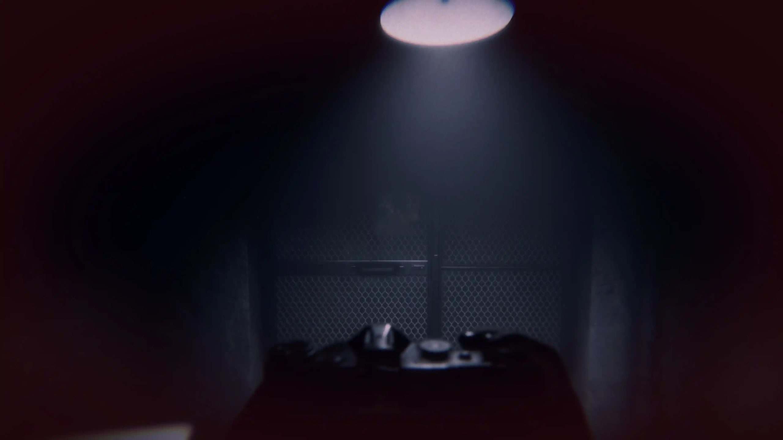 Project Songbird Recensione atmosfera