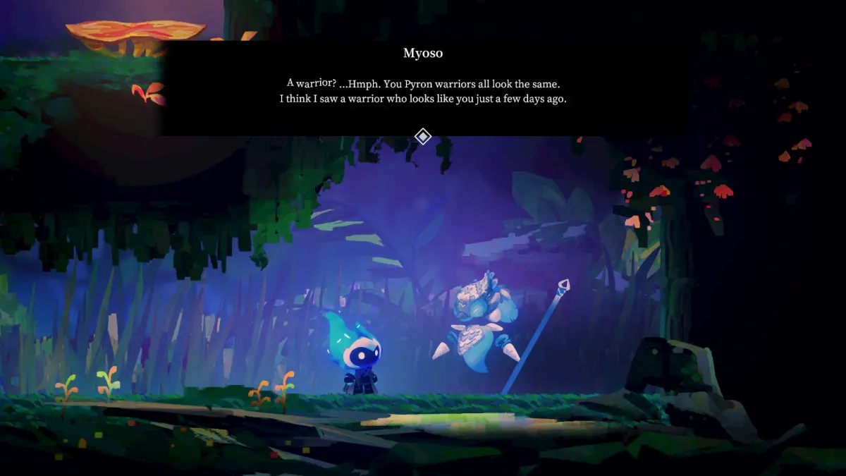 Solateria Recensione