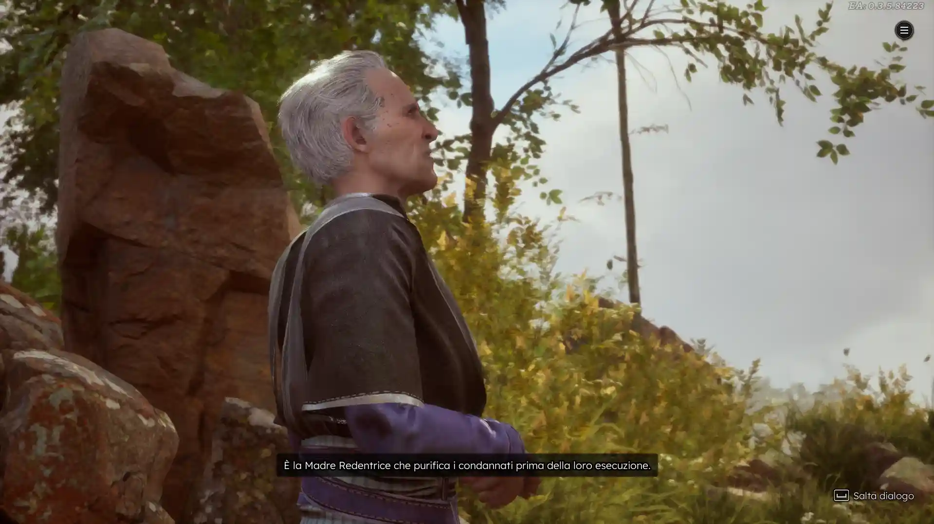 Scena di dialogo in Solasta II con un personaggio anziano che parla di fronte a un ambiente naturale roccioso.