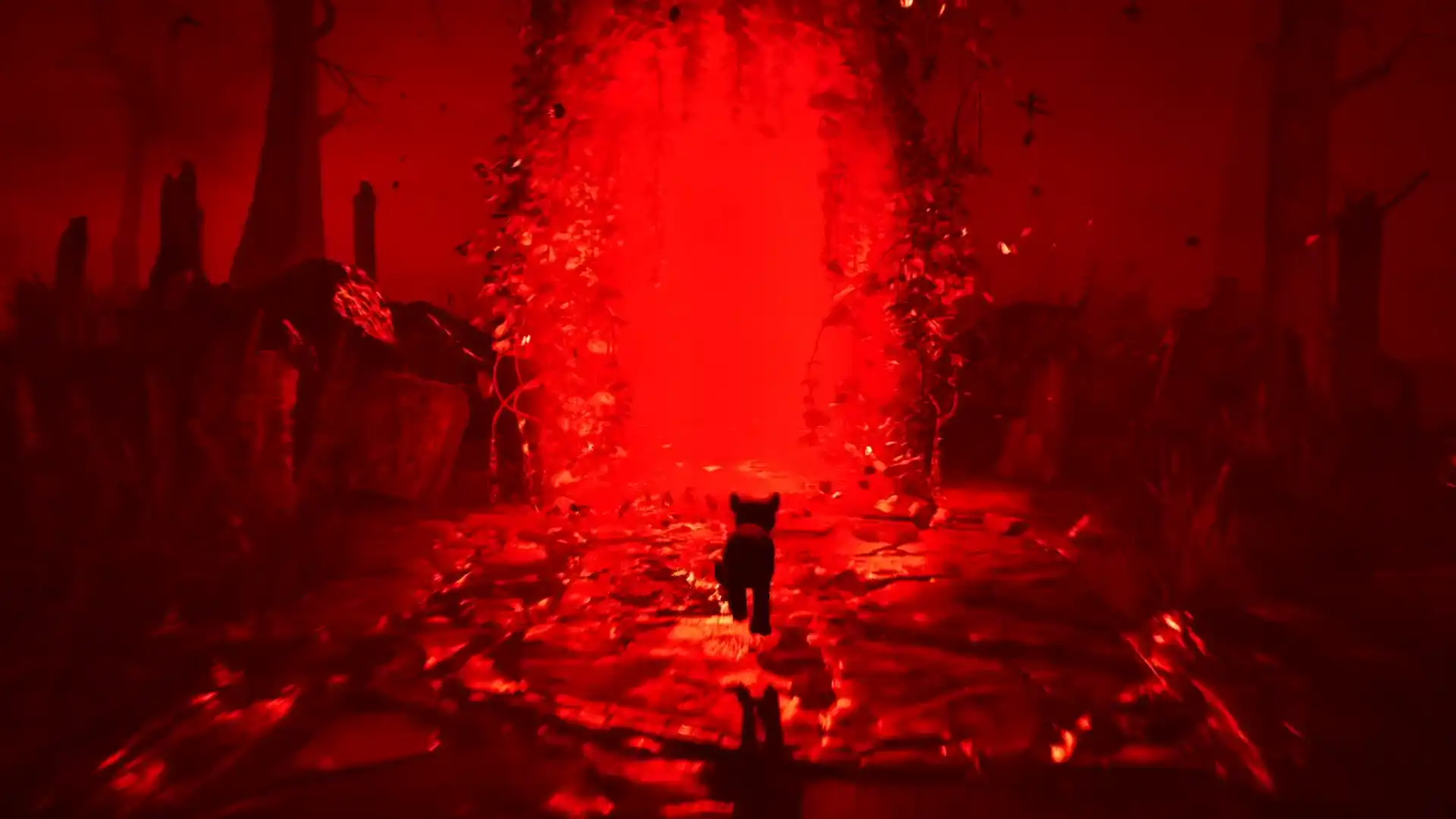 Un piccolo gatto nero cammina su un sentiero di pietra bagnato verso un portale luminoso rosso intenso. L’ambiente ricorda un cimitero o una foresta oscura, con croci, alberi spogli e vegetazione avvolta da una luce cremisi che crea un’atmosfera inquietante e misteriosa.
