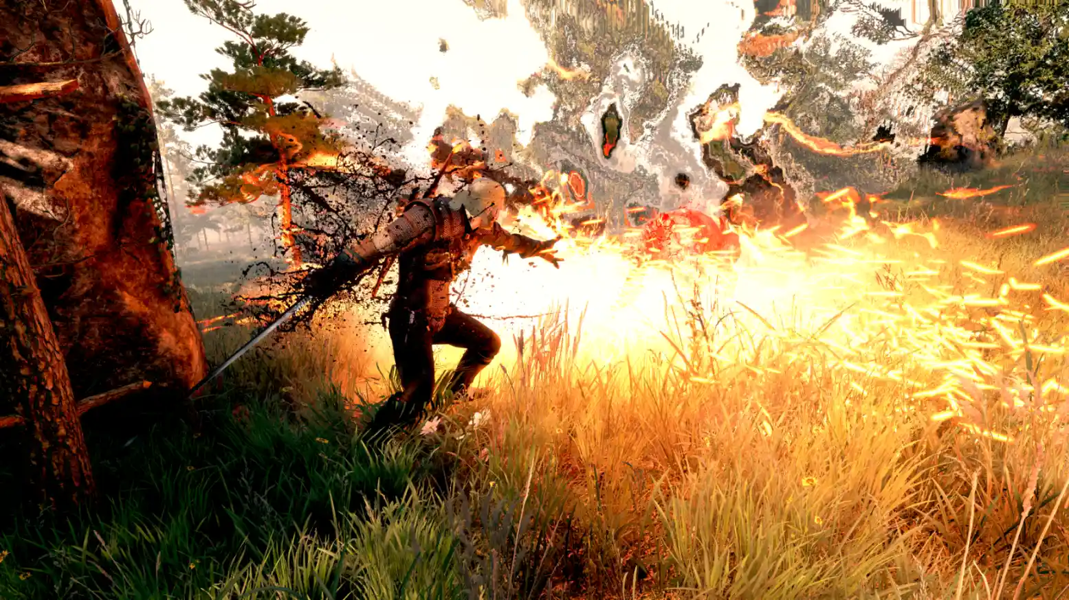 The witcher identita diversita focault bauman