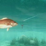 The Weeknd consiglia About Fishing, l’horror indie che trasforma la pesca in un incubo