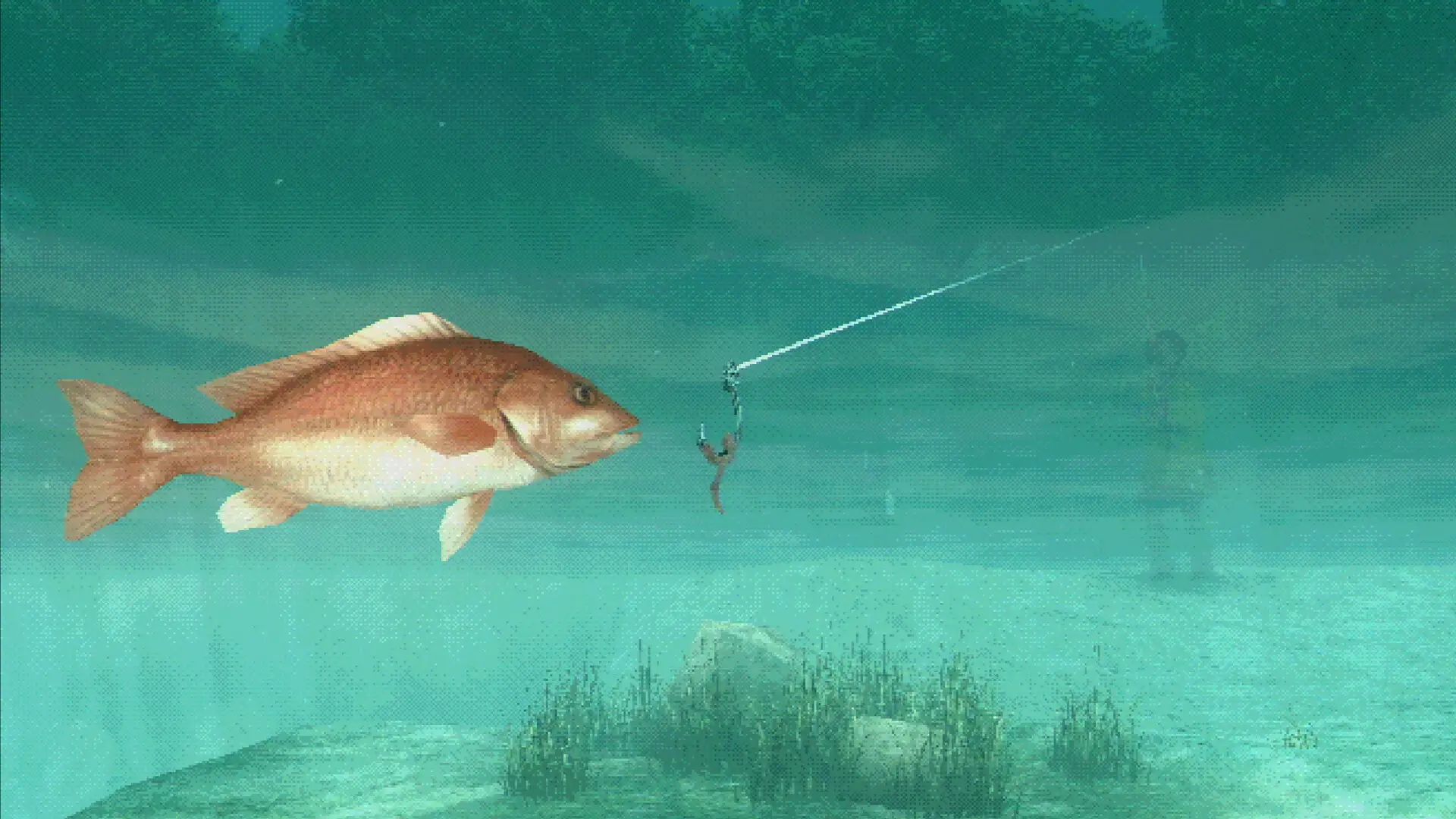 The Weeknd consiglia About Fishing, l’horror indie che trasforma la pesca in un incubo