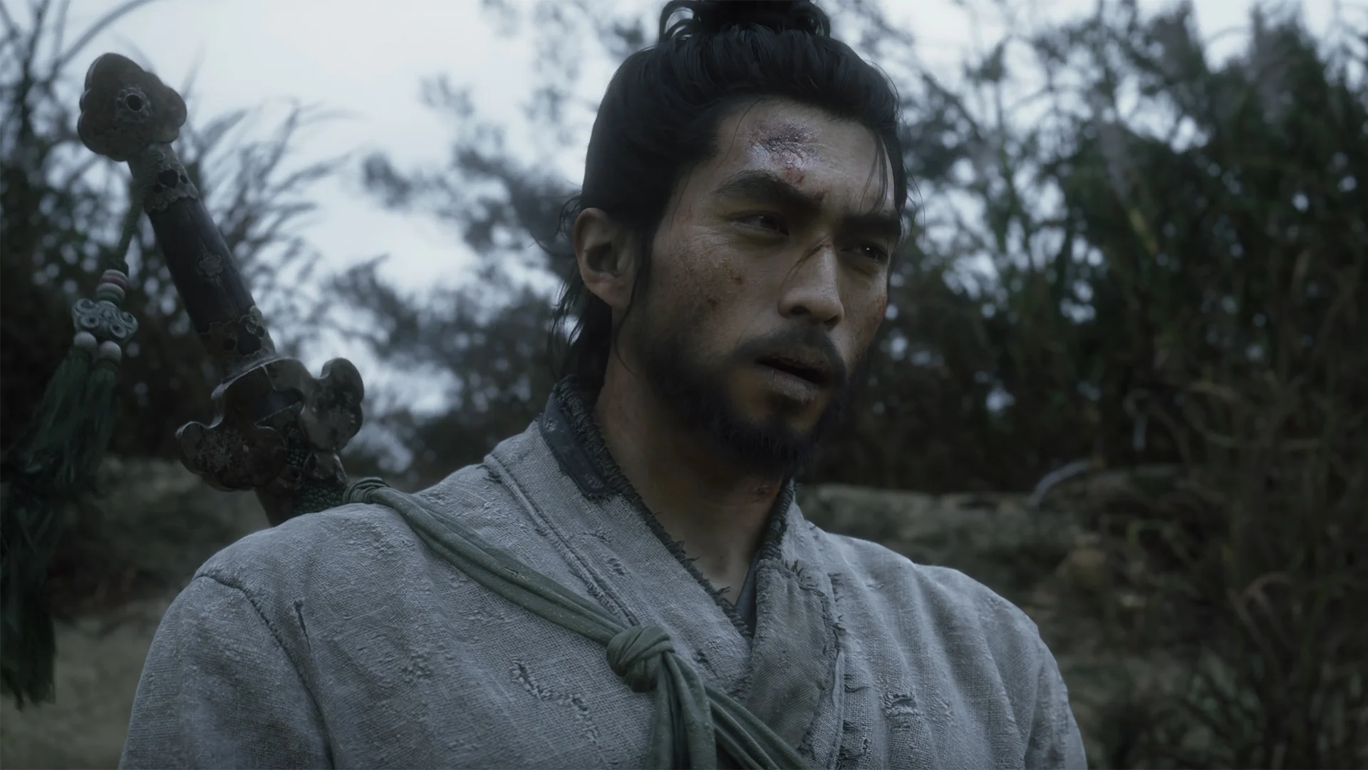 Black Myth: Zhong Kui faccia protagonista