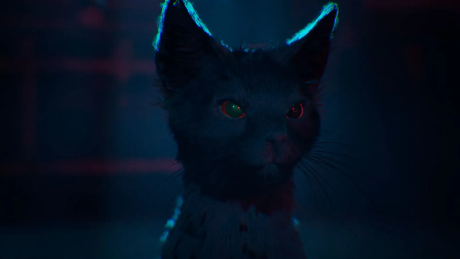 Primo piano di un gatto nero con occhi eterocromi e un'aura magica.