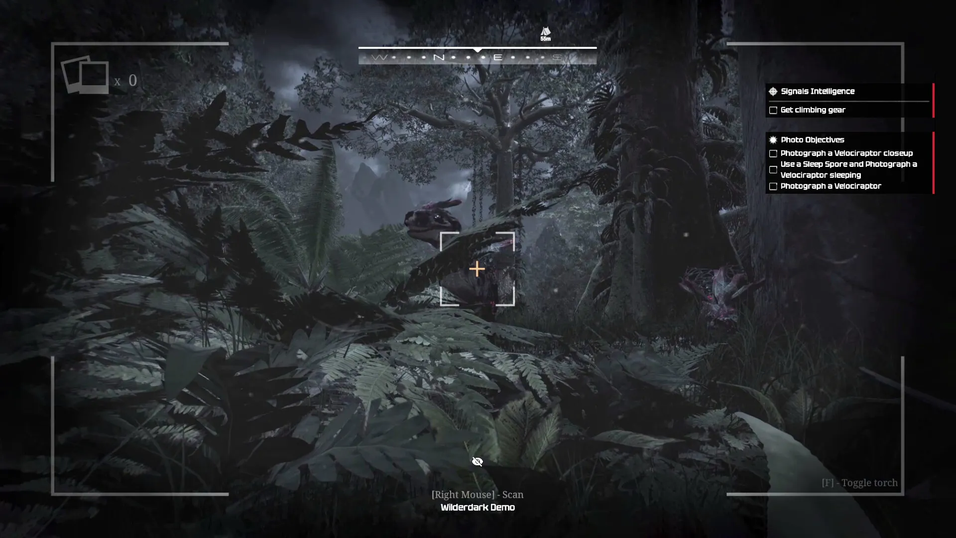 Wilderdark scatto perfetto