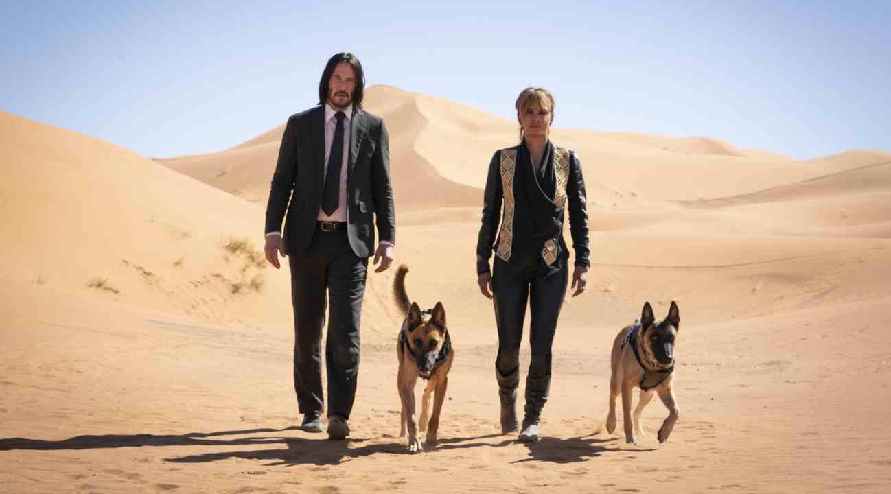 John Wick e Cani nel deserto