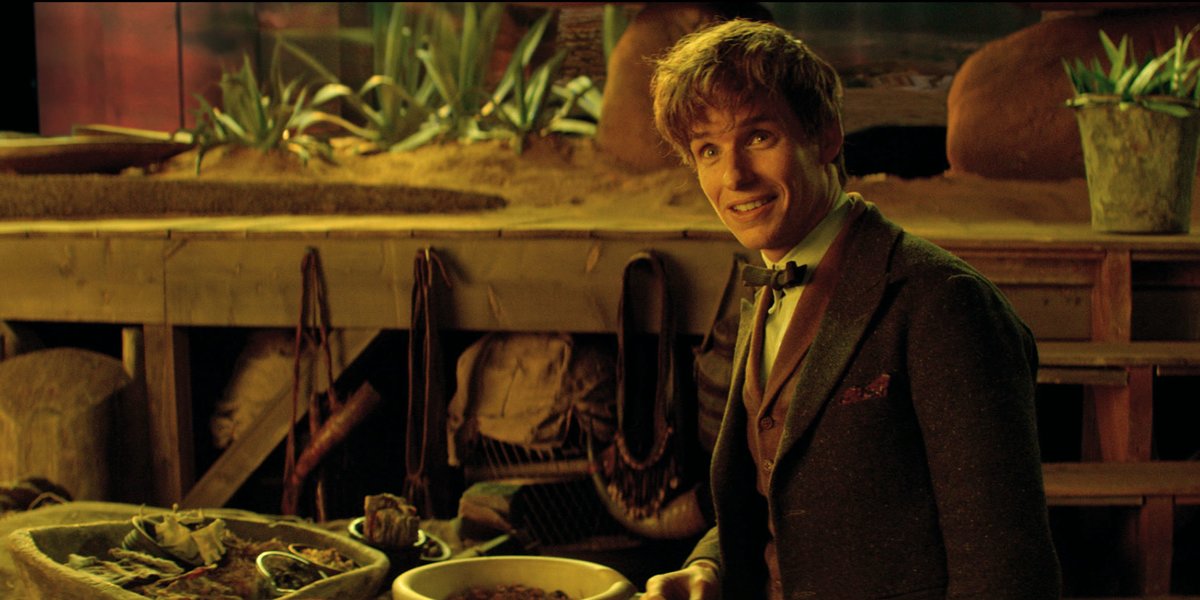 Animali Fantastici Newt Scamander