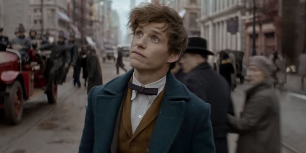 Animali Fantastici Newt Scamander 2
