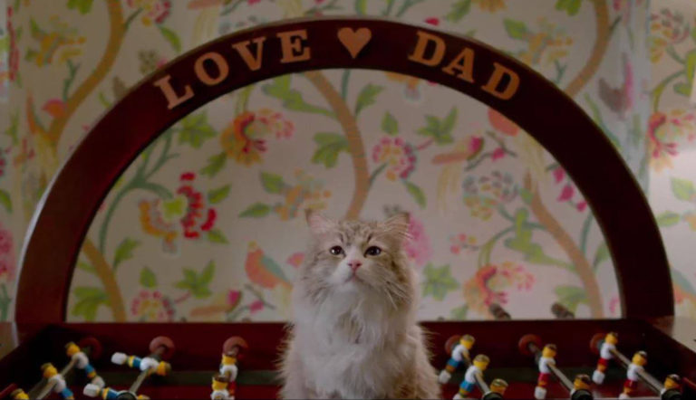 Una vita da gatto – Recensione