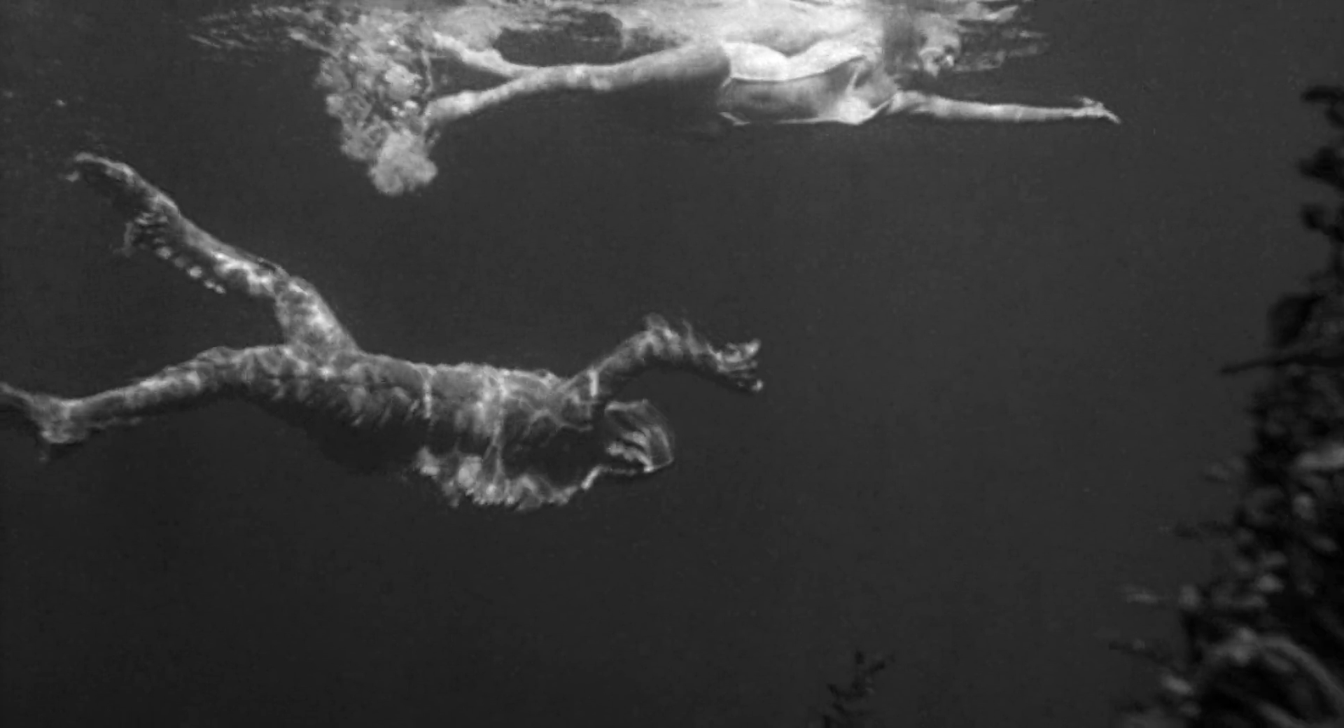 Il mostro della Laguna Nera