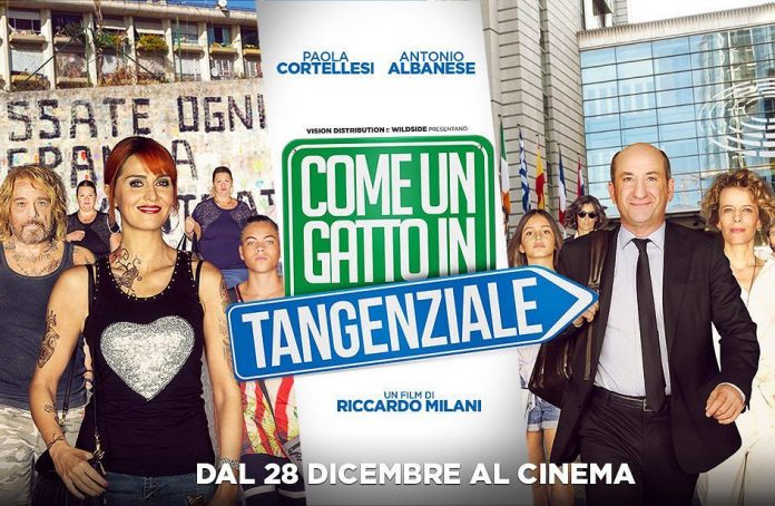 Come un gatto in tangenziale
