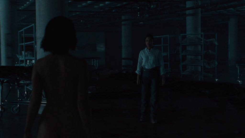 The Passenger