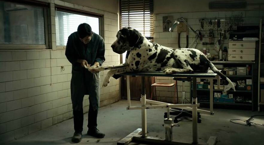 Dogman