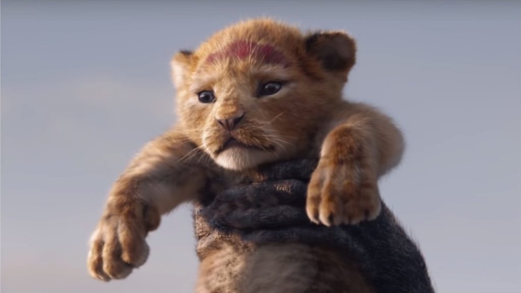 Il Re Leone