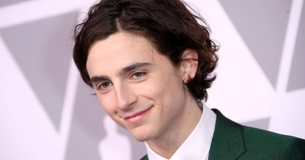 Timothée Chalamet e Benicio Del Toro nel cast del nuovo film di Wes Anderson - immagine 1 dell'articolo
