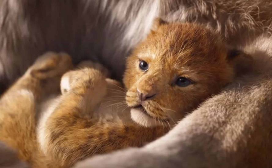 Il Re Leone – Recensione - immagine 1 dell'articolo