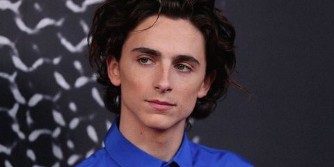 Timothée Chalamet interpreterà Bob Dylan - immagine 1 dell'articolo