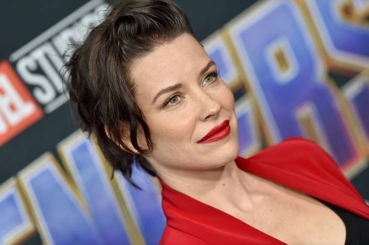 Ant-Man 3, a rischio il ruolo di Evangeline Lilly - immagine 1 dell'articolo