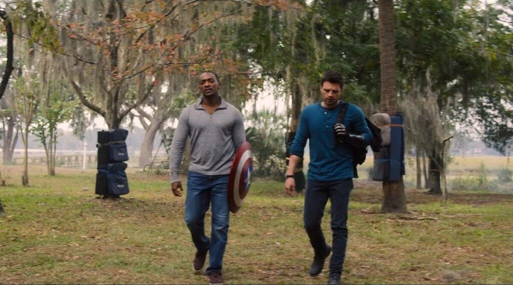 The falcon and the winter soldier